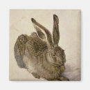 Search for albrecht magnets Renaissance