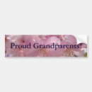 Search for spring pink bumper stickers Blossom