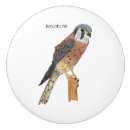 Search for bird knobs and pulls Raptor