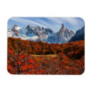Search for argentina magnets Patagonia