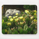 Search for pear mousepads Cactus