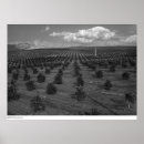 Search for riverside county posters Ucr