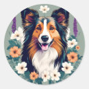 Search for sheepdog labels Breed