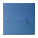Search for geese tiles Nature