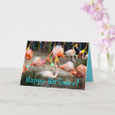 Search for funny flamingo birthday cards Flamingos