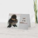 Search for duckling cards Friend