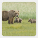 Search for alaskan stickers Animal