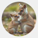 Search for baby kangaroo stickers Wildlife