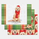 Search for golden retriever dog gift wrap Dogs