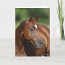 Search for chestnut horse cards Bob langrish