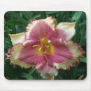 Search for daylilies mousepads Daylily