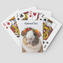 Search for cute guinea pig toy games Animal lover