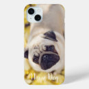 Search for pug cases Animals