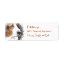 Search for basset return address labels Basset hound dog