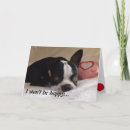 Search for boston terrier valentines day cards Dog