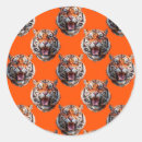Search for orange tiger stickers Pattern