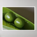 Search for pea posters Photography