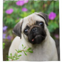 Search for pug shower curtains Puppy