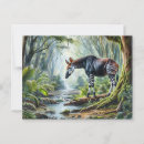 Search for rainforest postcards Watercolor