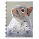Search for cute fluffy notebooks Squirrel