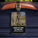 Search for cutest accessories Wildlife reserve