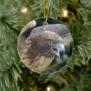 Search for red tail hawk christmas tree decorations Raptor