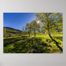 Search for pasture posters Nature