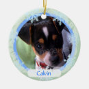 Search for pet name christmas tree decorations Blue