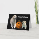 Search for golden retriever halloween cards Witch