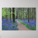 Search for bluebell art Landscape