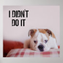 Search for english bulldog posters Puppy