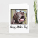 Search for pointer dog cards Shorthaired