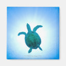 Search for turtle magnets Animal