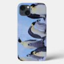 Search for emporers Emperor penguin