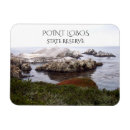 Search for bird magnets Souvenir