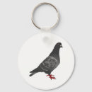 Search for pigeons key rings Dove