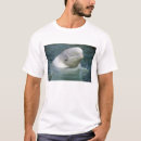 Search for beluga whale tshirts Marine