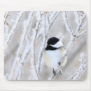Search for capped chickadee mousepads Wildlife