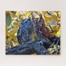 Search for owl puzzles Wildlife