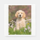 Search for golden retriever napkins Pet