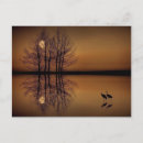 Search for bird silhouette postcards Tree