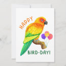 Search for parrot birthday Sun conure