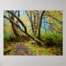 Search for fall colours posters Trail