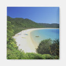 Search for south island magnets Ocean