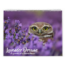 Search for intelligence office supplies Wildlife