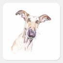 Search for greyhound stickers Sighthound