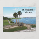 Search for florida manatee postcards States