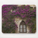 Search for window mousepads France