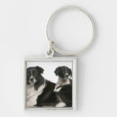 Search for puppy key rings Belgium