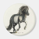 Search for rearing magnets Pinto